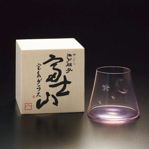 cq ]ˏɎq xmR iOXiؔj F TG13-014-1P 