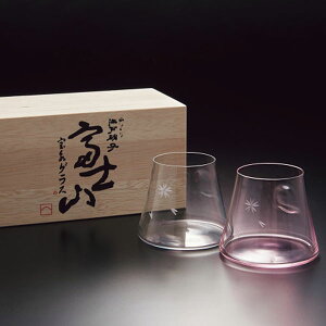 cq ]ˏɎq xmR iOX gyAiؔj TG13-014-2CP 