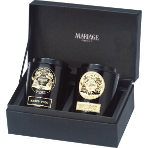 }A[W t[ g̑蕨 GS-1A  (sa)