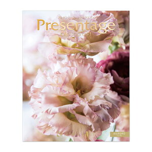 J^OMtg j x o TԂ @v Ԃ 25800~R[X v[e[W AO R846-211 