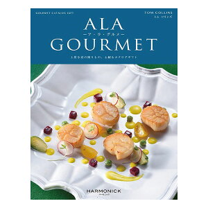 J^OMtg AO 4500~R[X n[jbN AEEO gRY grm301  