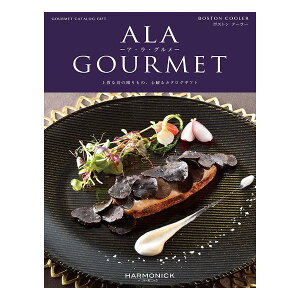 J^OMtg AO 21000~R[X n[jbN  AEEO {XgN[[ grm307 