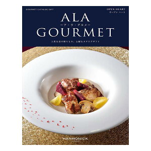 J^OMtg AO 31000~R[X n[jbN  AEEO I[vn[g grm309 