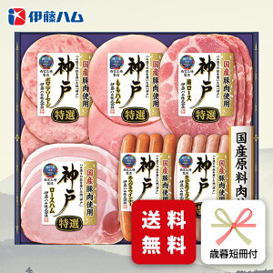 Ε n Mtg ɓn IKE-301 Ε p ~Mtg A [J[  [Xn \[Z[W ECi[ O (ih)