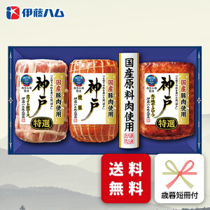 Ε n Mtg ɓn IKE-4 Ε p ~Mtg A [J[  Yؓgp ē O (ih)