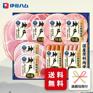 Ε n Mtg ɓn IKE-401 Ε p ~Mtg A [J[  [Xn \[Z[W ECi[ O (ih)