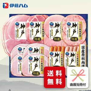 Ε n Mtg ɓn IKE-501 Ε p ~Mtg A [J[  [Xn \[Z[W ECi[ O (ih)