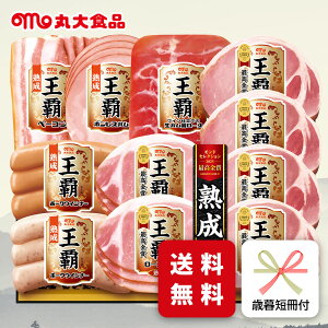 Ε n Mtg ۑn ۑHi MO-500 Ε p ~Mtg A nMtg  [J[  (mh)