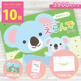 カタログギフト えらんで 出産祝い 赤ちゃん ベビー 3900円コース ハーモニック えらんで きらきらコース er619 ギフトカタログ 内祝い 出産祝い 出産お祝い お祝い 内祝 贈り物 カタログ 送料無料 ネコポス (ne●)
