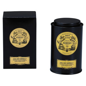 }A[W t[ g A[OC CyA t 蕨 Mtg v[g 100gʓ TJ8002 j j (sa)