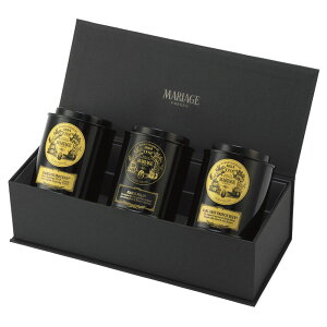 }A[W t[ g3̑蕨 GS-7  v`Mtg j av[g