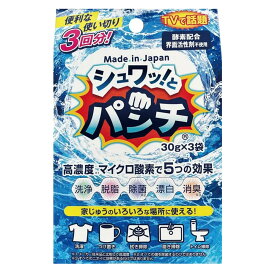 シュワッ！とパンチ お試しサイズ 30g×3包 油汚れ ヌメリ取り 風呂用洗剤 除菌 消臭 酵素 ネコポス ギフト対応不可 送料無料 (ne)