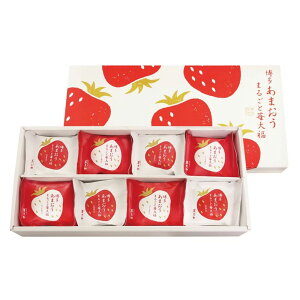 s {V ܂ 䕑啟 YF-MB [J[/s 