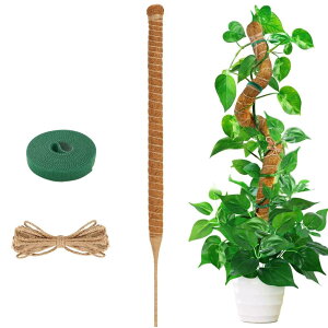 YOUSHY |x ϗtAXe x wSx鐫A RRXeBbNx AT|[g ێ {ێ RRibcx K[fjOx _Ɨp |p (114cm*1)