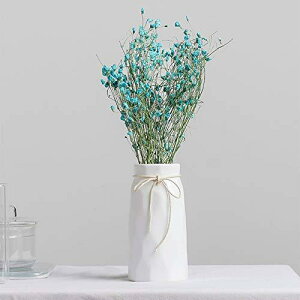 Fukuka ԕr t[x[X Ԋ 17CM1Z~bN  k  CeA