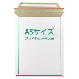 (50) rWlX^[P[X A5ΉyEMS-A5z (24.5CM 19CM) R[g{[ 300g/   p z Ɩp zCg X֑ bsO ۗXւ̕   