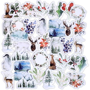 R[W f V[ t[NV[ XebJ[ e 킢  V[ fގ (X)