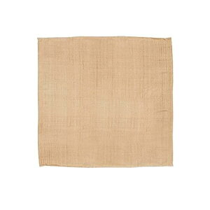 ΑV[g 1m×1m h΃V[g ΃V[g Α V[g }bg KX@ې ω ϔM h o[xL[ Lv AEghA BBQ Őی [ܕt (1m×1m)