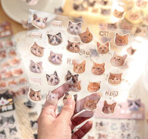 R[W f V[ t[NV[ XebJ[  蒠  h 킢   (L)