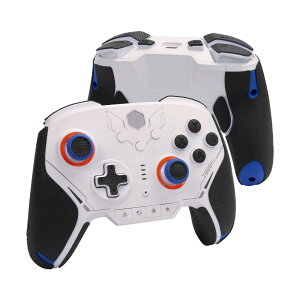 【 グリップ力強化 & 吸汗力強 】 TALONGAMES BIGBIG WON BLITZ2 用 コントローラー グリップテープ クラシックバージョン アンチスリップテープ 滑り止め グリップシール スキンキット カット済 1セ