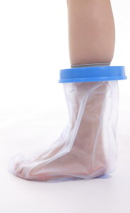 Cadi MuXJo[ p hV[Jo[ qp 䂵ĂV[OK тMvX̂܂܃V[ (STCY)