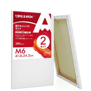 AUREUO 張りキャンバス セット M6 (41cmX24.2cm) 中目 100%コットン 2枚 初心者 絵画用具 芸術絵創作 現代油絵 美術装飾 水彩画・油絵画・アクリル兼用