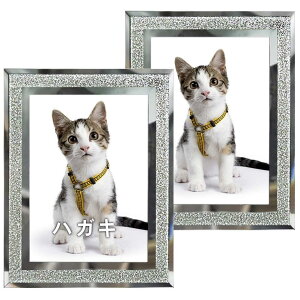 Lethromri tHgt[ ͂TCY  tHgX^h KX 2 Zbg j oYj wj v[g