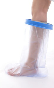 Cadi MuXJo[ p hV[Jo[ qp 䂵ĂV[OK тMvX̂܂܃V[ (MTCY)