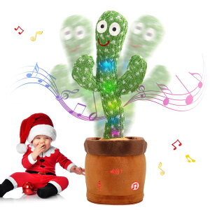 MIAODAM T{e  T{e xT{e T{e av[g q̓ NX}XMtg VN   ̂ _VOT{ê܂ ޕԂ ^