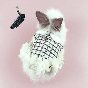 Dekori うさぎ ハーネス ウサギ 猫 ハーネス モルモット ハーネス 美しく優雅 可愛いうさぎ服 小型ハムスターうさぎハーネス&リードセット 胸あて式 調節可能 散歩 軽量 簡単着脱 迷子防止