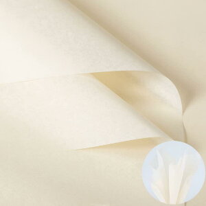 t 35 傫 50*70cm bsOy[p[  v[g Ԏ C t[c aَqJo[  ʐ^?e |p y[p[A[g ɏՍ S  o^Cf