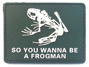 Phoenix Ikki XJtbO [^ lCr[V[Y ꕔ ^NeBJ ~^[ ToQ[ z hJ PVC pb` by }WbNe[v r  AbvP green PVC