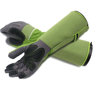 TARATI K[fjO K[fO[u vtFbVi T{e [Y o̎  KÑgQ [YO[u ϖ O Ǝ |p Sی h