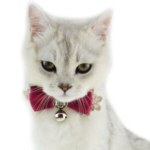 L  { lR  L  {  {t [X _炩 Lт  M傤єLp ߉\ yqL/q//^ybg ցz yM