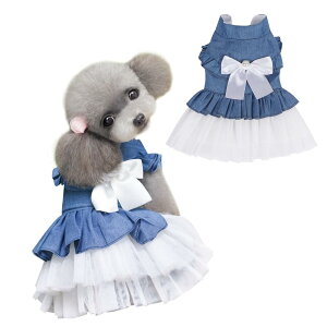 Jimjis  s[X t ʋC Pl hX XJ[g Ȃ  y ^ L ybg ̕ L̕ ^ ^ m Eѕی (zCg, M)