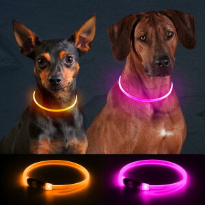 2pbN  USB[dLED̎ ߉\ȈÈł  U Cg hShbOCg ^^p(IW+sN)