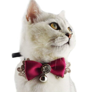 L  { lR  L  {  {t [X _炩 Lт  M傤єLp ߉\ yqL/q//^ybg ցzyS