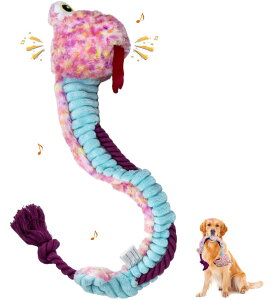 Flechazo    ̏o  ʂ ^ ^ ^p (Xl[N)