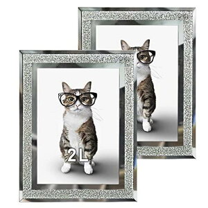 Lethromri ʐ^ 2l LL tHgt[ 2 Zbg KX X^h 蕨 j v[g