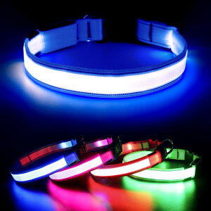 Visinite  Cg Up [d100h߉\ 邢SCg  TCY \ ybg   Sˌ  ybg yʏ^ ^ ^ (S