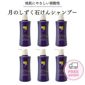 ̂ ̗΂Vv[ 500ml 6{Zbg Ɠɂ₳Vv[ ƋP^XRfBVi[svłBsyzySSz