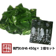 【ポイント5倍マラソン期間】鳴門産 生わかめ 塩蔵わかめ 450g 2個セット 塩蔵タイプ 国産 徳島 若芽 わ…