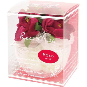 y|Cg10{BLACKFRIDAYԁzX^[obNXIK~  t[Zbg oN[ [Y~[ bh sN NAP[X a vZg  ԑ t[Mtg  w