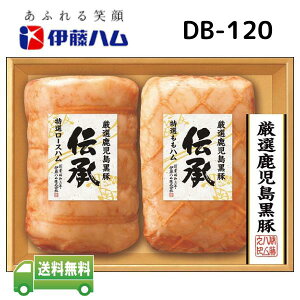 Ε ɓn `  Mtg Y ` DB-120 y[J[ t1219܂ 1117`1228܂Łz ΕȊOɂp\(ȈՕ) yz