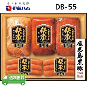 yΕz ɓn `  Mtg Y ` DB-55 y[J[ t1219܂ 1117`1228܂ŁzΕ n ΕȊOɂp\(ȈՕ) y