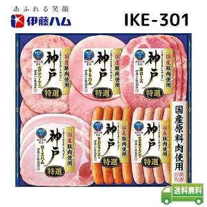 yΕzɓn _ Mtg _ˎsFYnMtgIKE-301y[J[ t1219܂ 1117`1228܂ŁzyznMtg ΕȊOɂp\