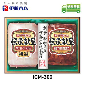 Ε ɓn ` MtgZbg IGM-300 ΕȊOɂp\(ȈՕ) [J[ t1219܂ 1117`1228܂ŁyznMtg