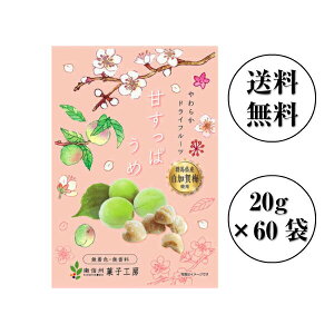 y111Si|Cg5{zMBَqH[@YEÂς 20g×60܁yza̎R~gp@hCt[c s