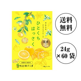 南信州菓子工房　国産ひとくちはっさく24g×60袋　【送料無料】国産　はっさく使用　ドライフルーツ包装不可