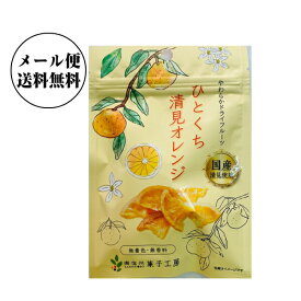 【ポイント5倍スーパーSALE】南信州菓子工房 ひとくち清見オレンジ 24g×1袋【送料無料】国産ドライフルーツ 包装不可 買い回り